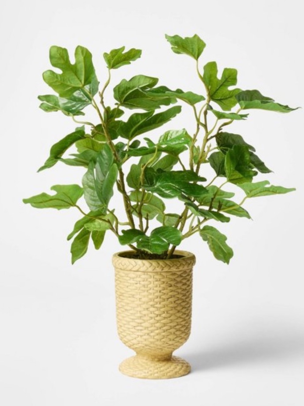 STUDIO MCGEE NWT faux Fig Leaf Arrangement